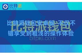 比特派钱包安卓版 不仅不错享受到粗浅的操作体验