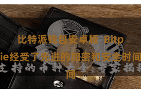比特派钱包安卓版  Bitpie经受了先进的加密和安全时间