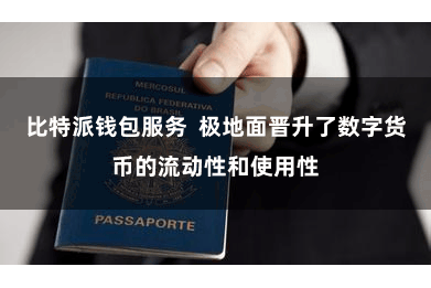 比特派钱包服务  极地面晋升了数字货币的流动性和使用性