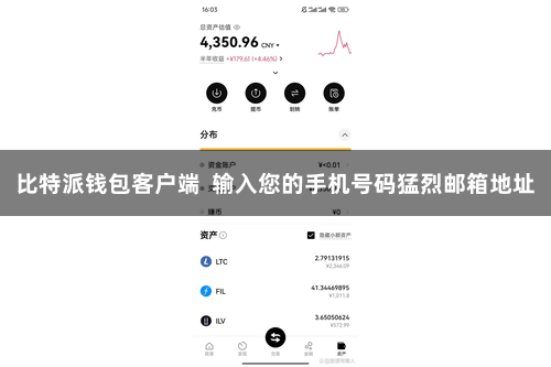 比特派钱包客户端  输入您的手机号码猛烈邮箱地址