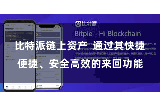 比特派链上资产  通过其快捷便捷、安全高效的来回功能