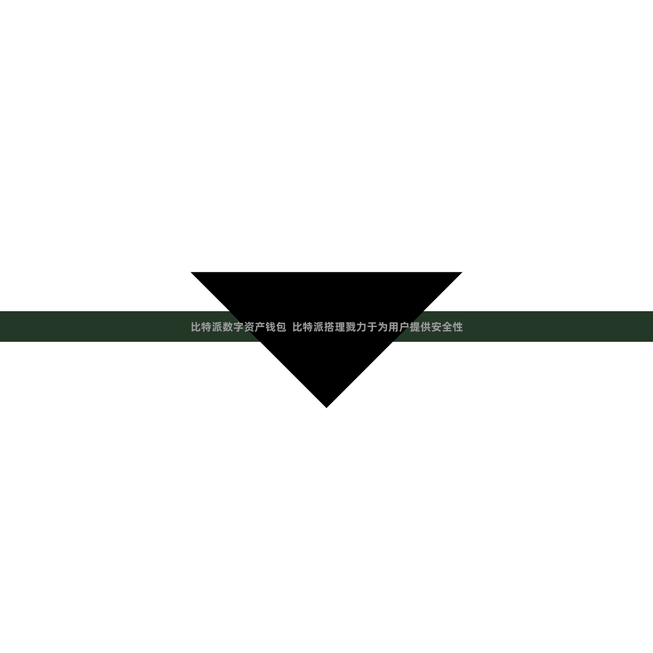 比特派数字资产钱包  比特派搭理戮力于为用户提供安全性