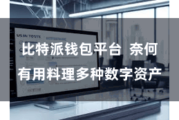 比特派钱包平台  奈何有用料理多种数字资产