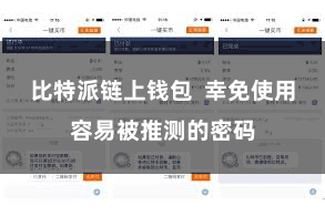 比特派链上钱包  幸免使用容易被推测的密码