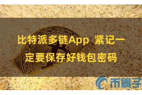 比特派多链App  紧记一定要保存好钱包密码