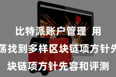 比特派账户管理  用户不错放荡找到多样区块链项方针先容和评测