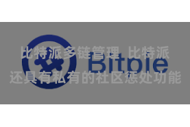 比特派多链管理  比特派还具有私有的社区惩处功能