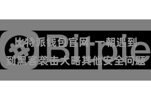 比特派钱包官网  一朝遇到到黑客袭击大略其他安全问题