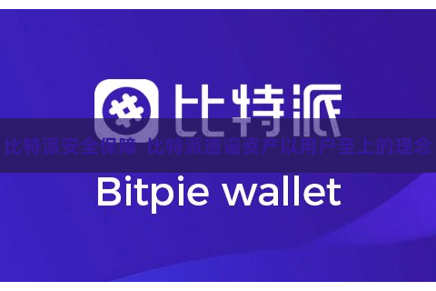 比特派安全保障  比特派造谣资产以用户至上的理念